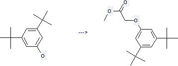 Phenol, 3, 5-bis(1, 1-dimethylethyl)- can be used to produce Methyl 3, 5-di-tert-butylphenoxyacetate.