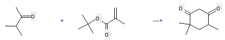 Uses of tert-Butyl methacrylate